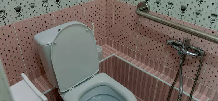Meeting Diverse Needs With Accessible Restroom Solutions in Kiryas Joel, NY