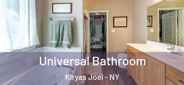 Universal Bathroom Kiryas Joel - NY